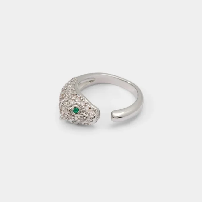 Anillo Roarica Anillo Roarica